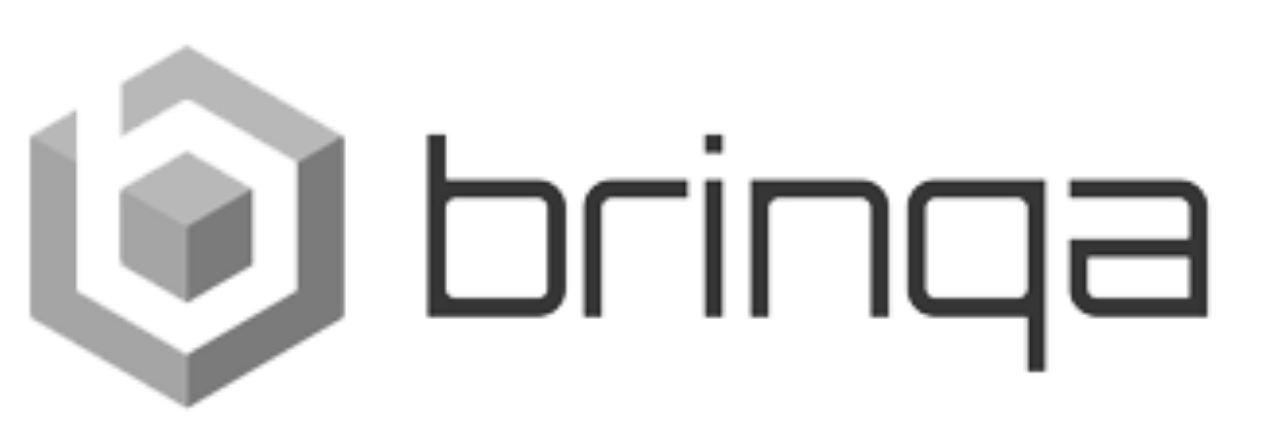 brinqa logo grey